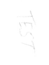 Testfax 5
